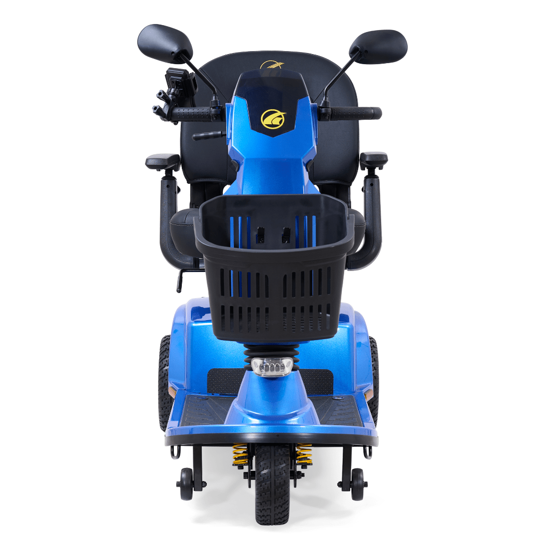 Companion (3-wheel) Full Size